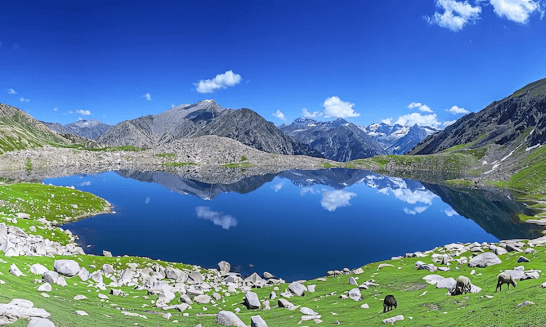 Sawat
