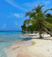 2-Month Panama City Tour Package