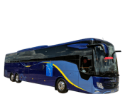 VIP Bus 2025